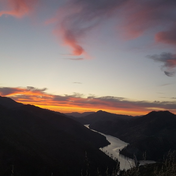 Meet your Posher, Emma - Picture 1 of 1